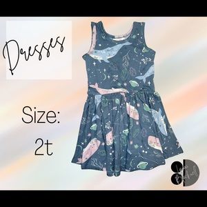 DotDotSmile 2t tank dress. NWT